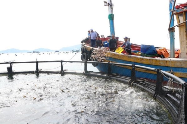 Việt Nam Pivots đến Nuôi trồng
